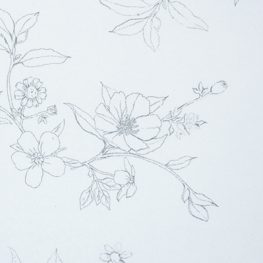 Color: Sketch Floral White