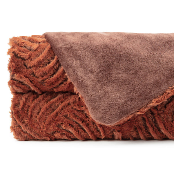 Color: Umber, Swatch