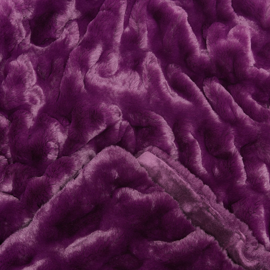 Color: Aubergine