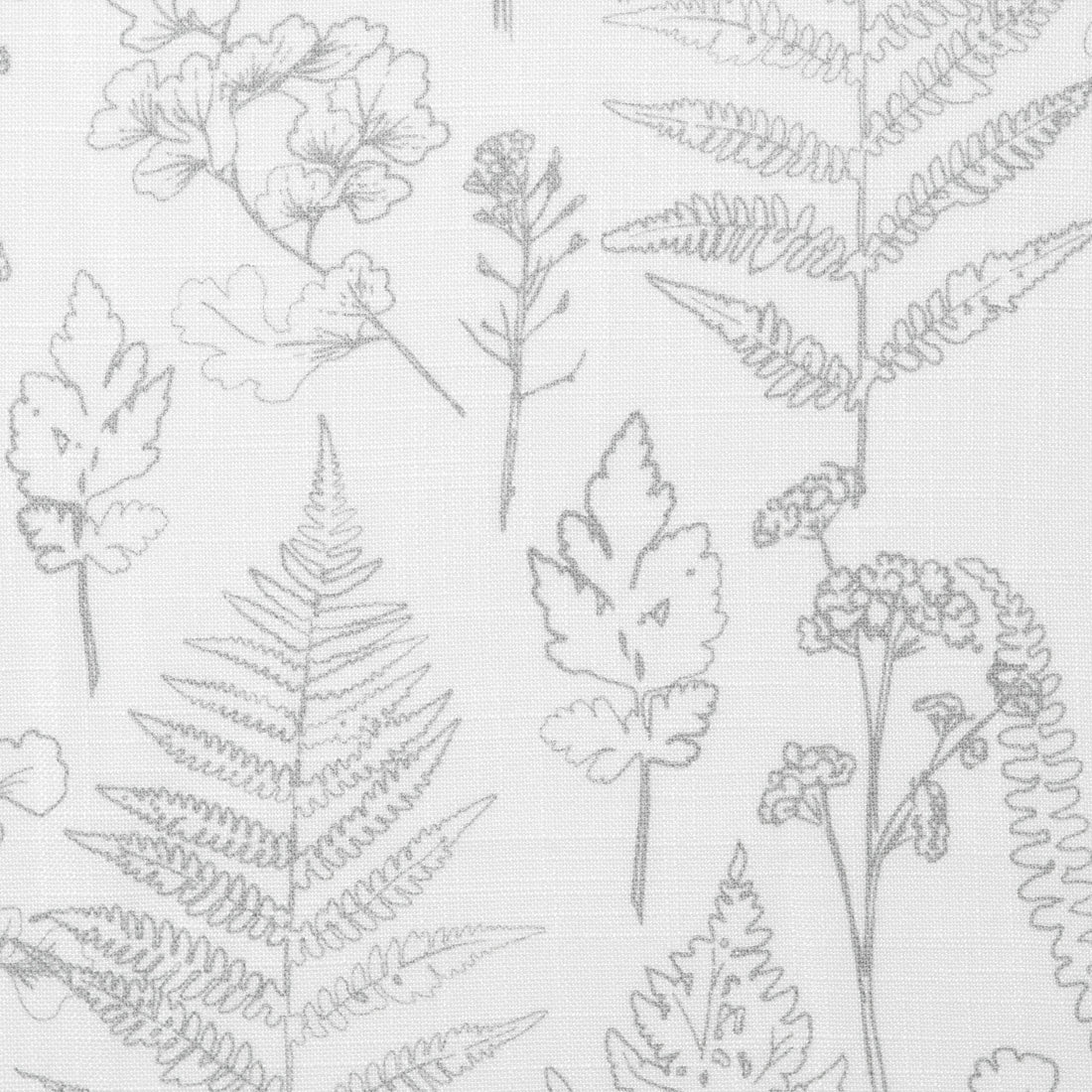Color: Botanical Charcoal