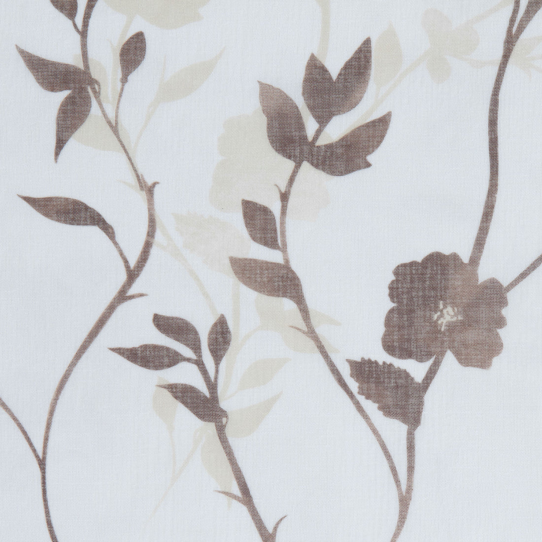 Color: Brown