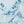 Color: Teal