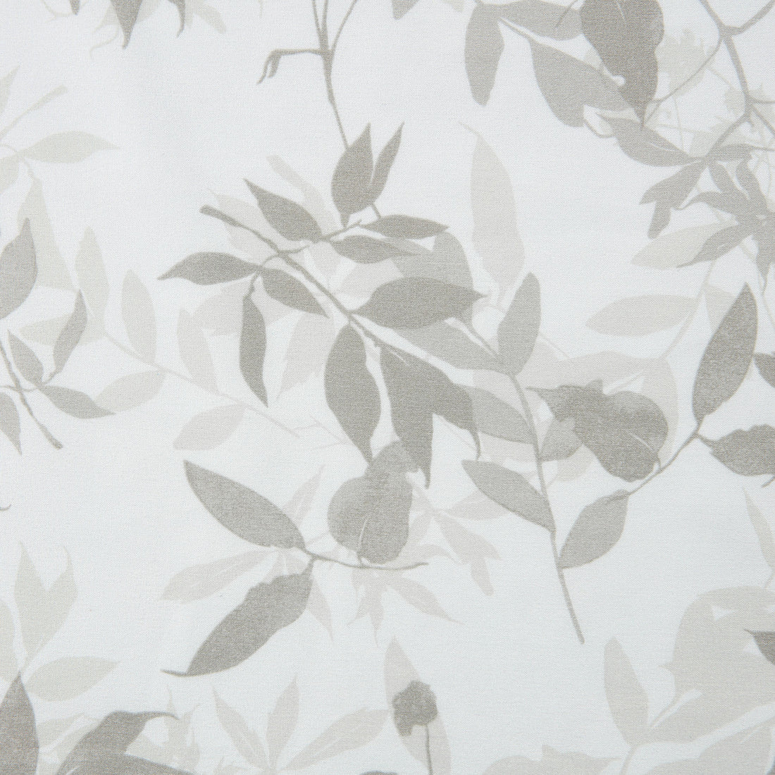 Color: Sage