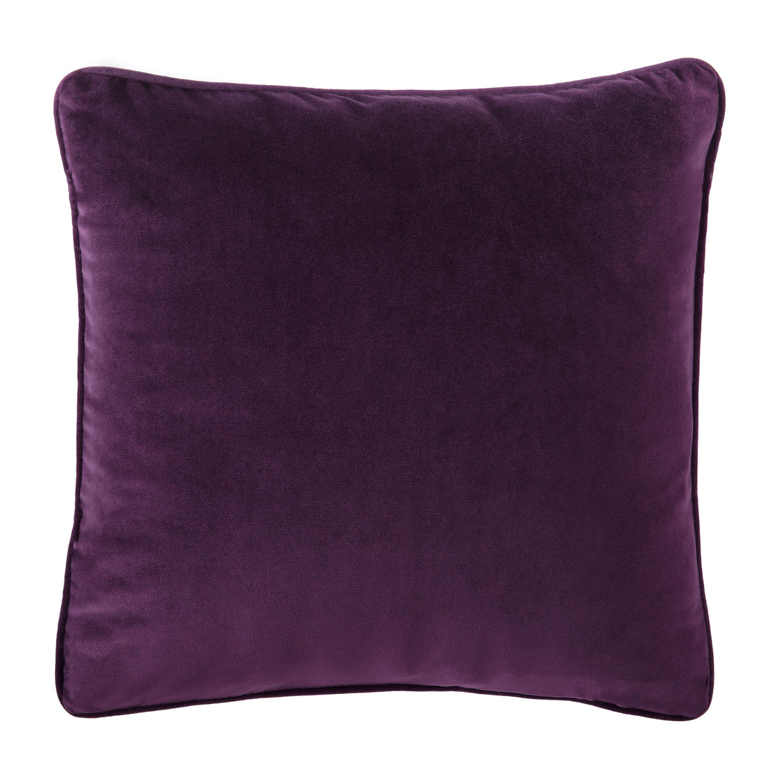 Color: Plum