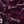 Color: Aubergine